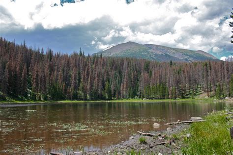 Colorado Lifestyle: Lilly Pad Lake via Meadow Creek