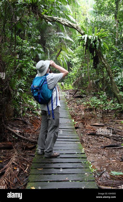 Wildlife watching at Bako National Park in Sarawak Stock Photo - Alamy