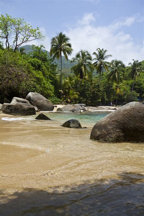 Tayrona Beach, Columbia | Caribbean beaches, Beach, Tayrona national park