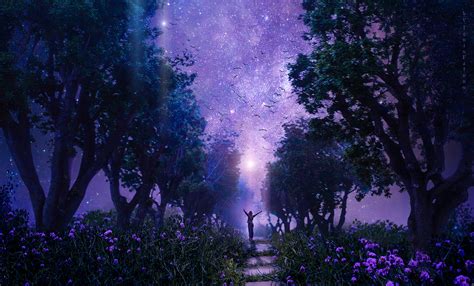 wallpaper forest, starry sky, art, purple, fabulous HD : Widescreen ...