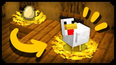 How to Make Chickens Lay Eggs in Minecraft