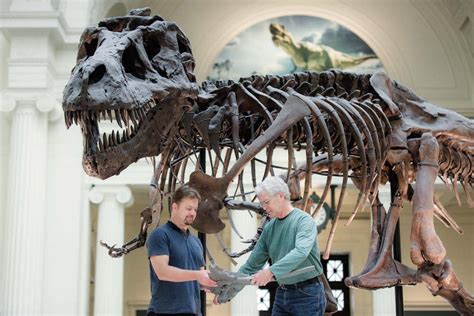 So Long, Sue! Famed T. Rex Makes Way for Bigger Beast | Live Science