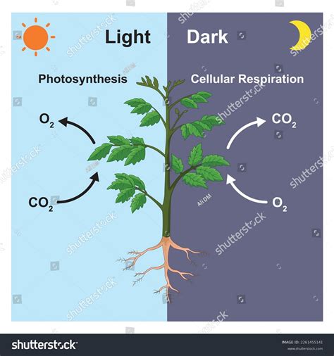 Scientific Designing Gas Exchange Process Plants Stock Vector (Royalty ...