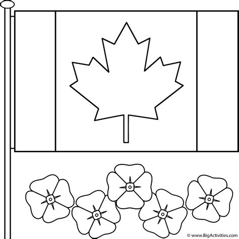 Canadian Flag with poppies - Coloring Page (Remembrance Day)