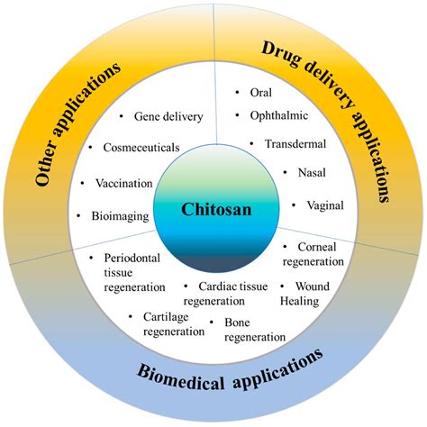 Chitosan: A Potential Biopolymer in Drug Delivery and Biomedical ...