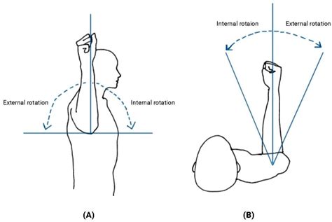 Shoulder External Rotation