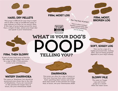 Dog Poop Chart