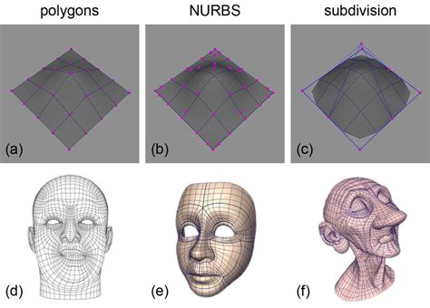 Types of geometries used for facial modeling: (a) polygonal, (b) NURBS ...