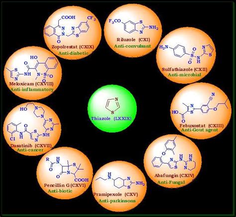 2.2: Pharmacological applications of thiazole ring. | Download ...