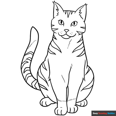 Orange Tabby Cat Coloring Page | Easy Drawing Guides