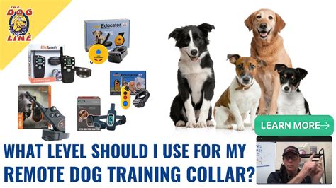 Dog Training Collar Australia - Part 2 - What Level Should I Use for my ...