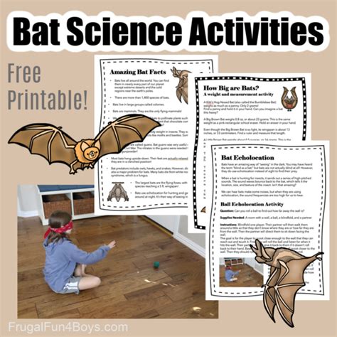 Cool Science Activities with BATS! - Frugal Fun For Boys and Girls