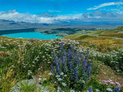 Is spring the best season for a road trip in New Zealand? Yes! We'll ...