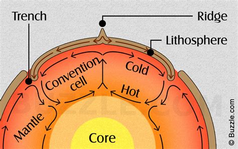 What's happening During Convection Diagram | Quizlet