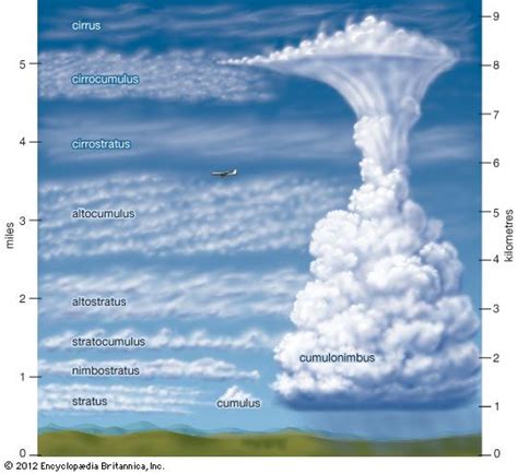 cloud types - Google Search | Weather science, Earth and space science ...