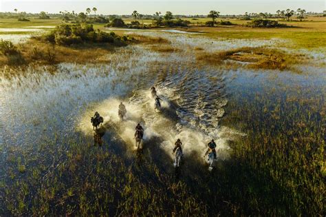 Okavango Delta in Botswana' The 7th Wonder of Africa