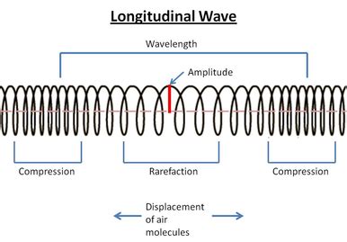 What is a Longitudinal Wave - CaitlynecBeasley