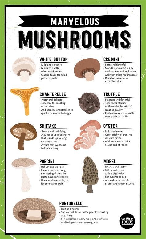 Different Mushrooms and How to Cook Them