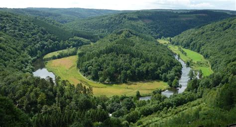 Unveiling The Secrets Of The Ardennes Forest: A Comprehensive Guide To ...