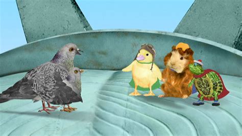 Watch Wonder Pets Season 1 Episode 6: Wonder Pets - Save the Pigeon ...