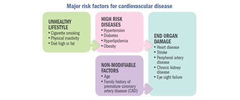 Is Diabetes A Risk Factor For Cardiovascular Disease - DiabetesWalls