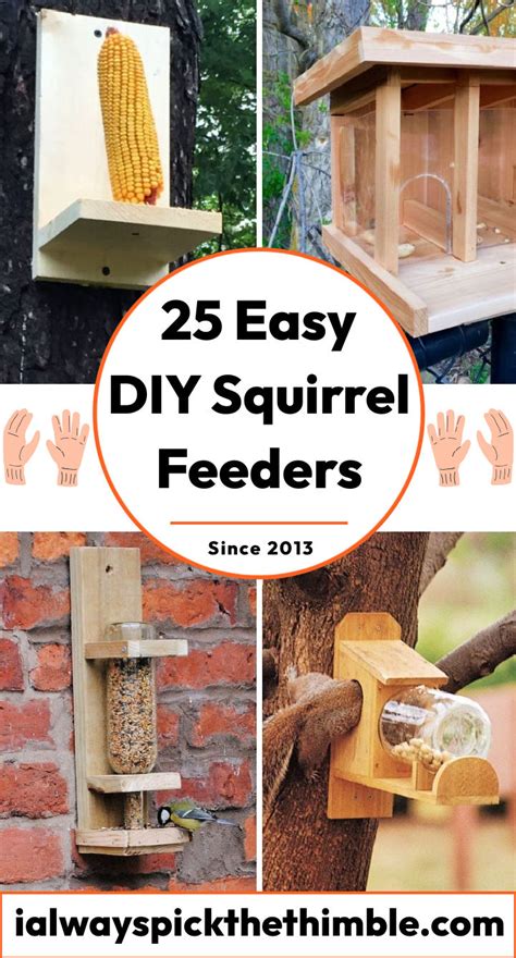 25 Free Homemade DIY Squirrel Feeder Plans