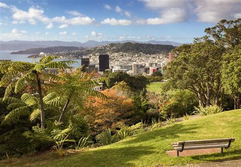 Wellington Botanic Gardens - Ed O'Keeffe Photography