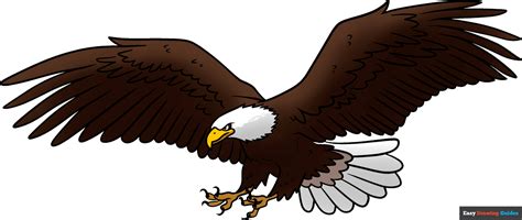 How to Draw a Bald Eagle Flying - Really Easy Drawing Tutorial