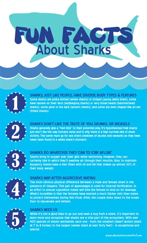 Fun Facts About Sharks - Infographic Facts