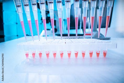 sample of biological sample for DNA analysis Stock Photo | Adobe Stock