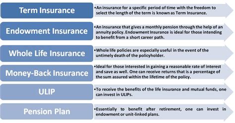 Types of Life Insurance-Understanding the Benefits Niche Data Factory