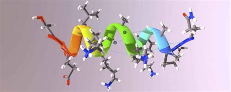 Amide Functional Group - Vital in Peptides, Polypeptides and Proteins