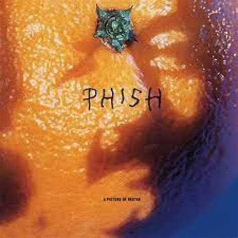 The List of Phish Albums in Order of Release - Albums in Order