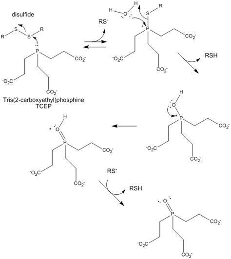 Chemistry of Cystine