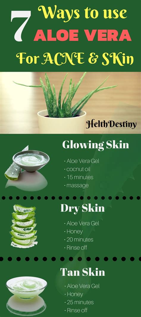 Alternative Options: What to Use Instead of Aloe Vera for Your Skin ...