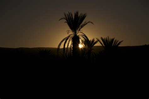 Morocco Sunrise Sunset Times