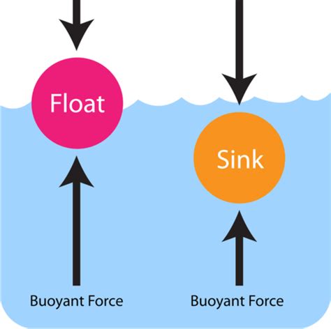 Archimedes Principle Floating Object - ZaydenilArias