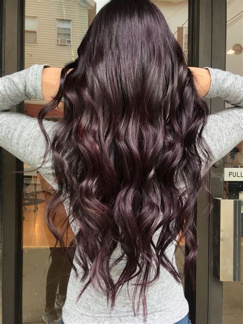 Dark Plum Hair | Hair tint, Plum hair, Brunette hair color