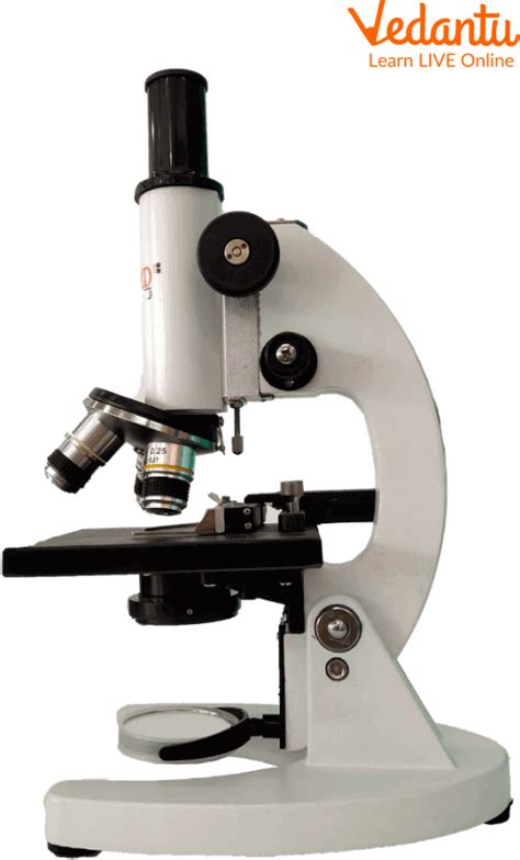 Microscope and Their Uses - Learn Important Terms and Concepts