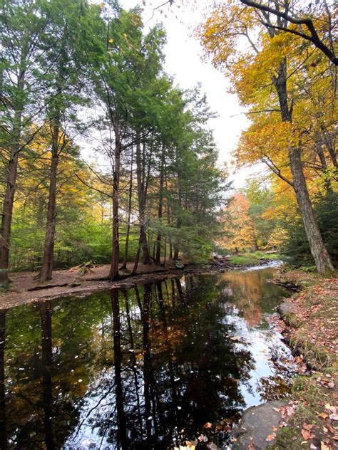 PROMISED LAND STATE PARK !! – "Dream On & Travel"