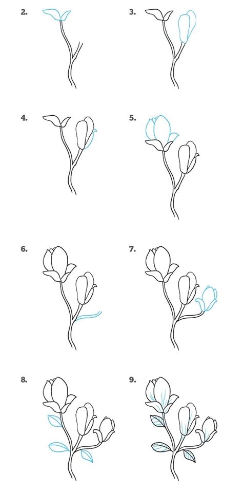 Easy Drawing Step By Step Flowers - 1001 Ideas And Tutorials For Easy ...