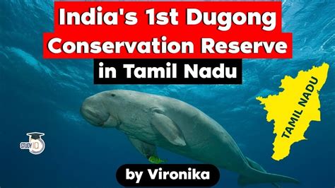 India's first Dugong Conservation Reserve to be built in Tamil Nadu ...