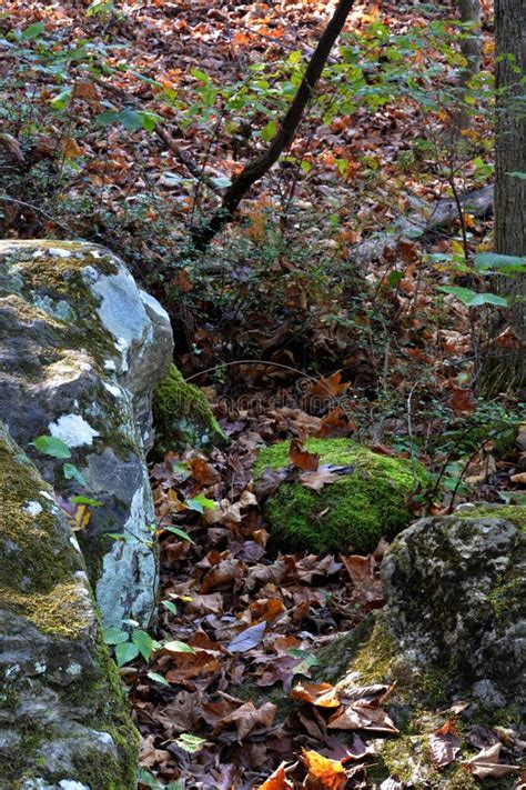 Rocky terrain stock photo. Image of plants, boulders - 102105756