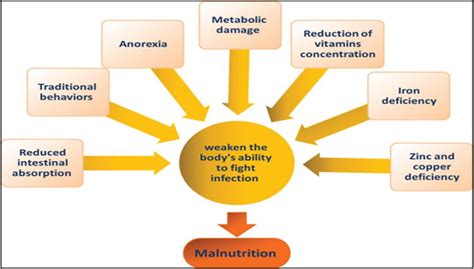 Causes of Malnutrition | IntechOpen