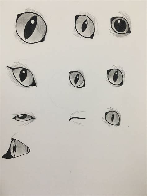 Just practicing my cat eyes X3 | Cat eyes drawing, Cat drawing, Cat ...