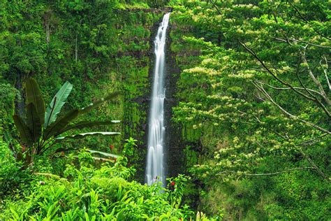 Akaka Falls, Akaka Falls State Park Photograph by Russ Bishop | Fine ...