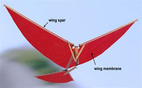 Ornithopter | How to Build