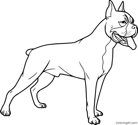 Boxer Dog Coloring Pages (12 Free Printables) - ColoringAll