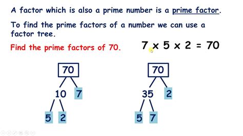 Prime Factors Tree Diagram