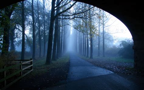 morning, Road, Fog, Trees, Landscape Wallpapers HD / Desktop and Mobile ...